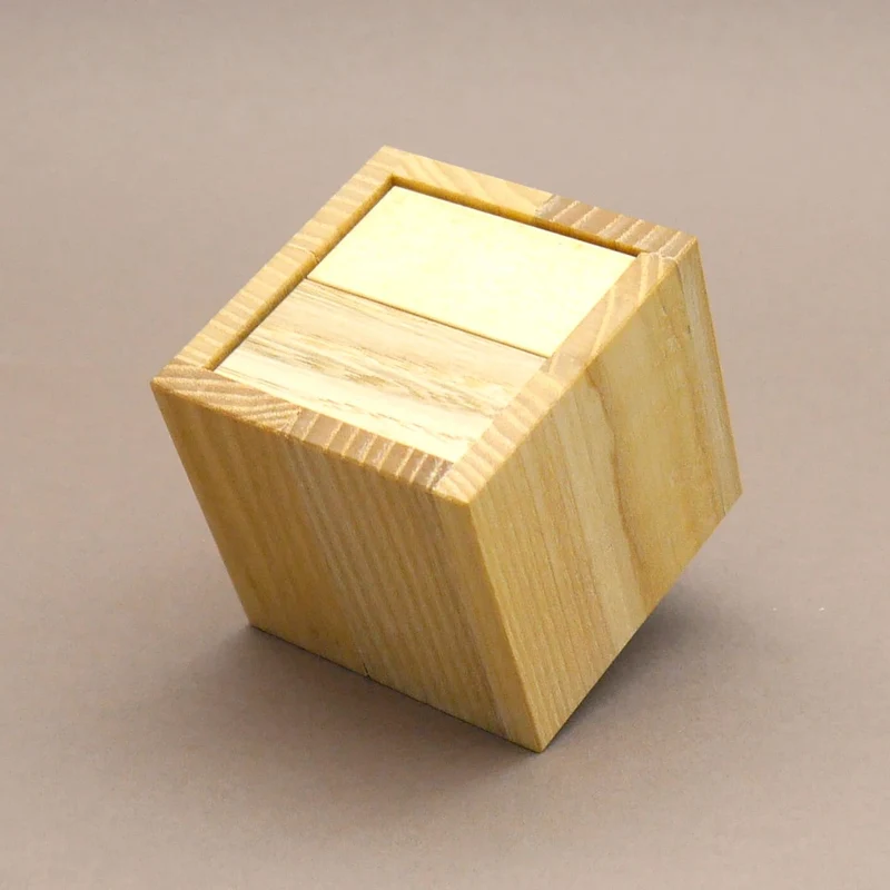 HOUSTEN, WE HAVE A PUZZLE - Holzpuzzle