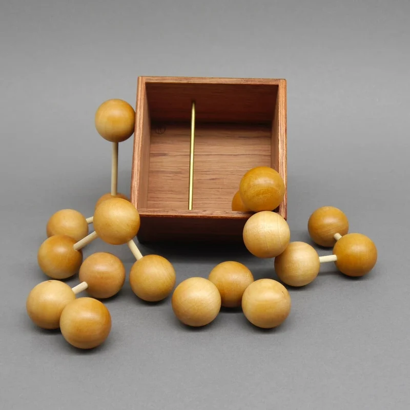 EULER NOT FOR DUMMIES - premium Puzzle