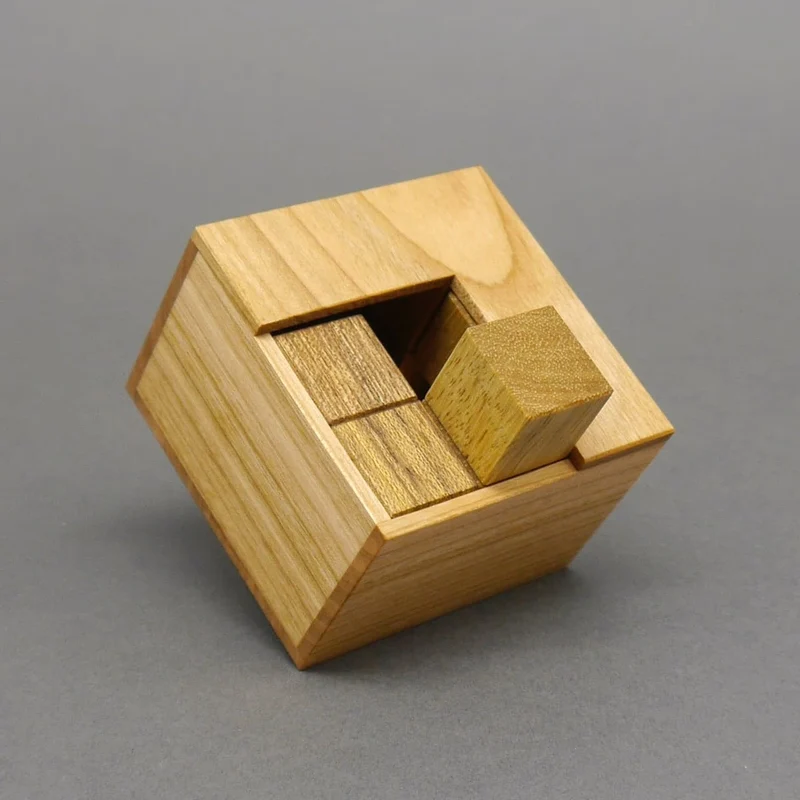 SYM DUO - tolles, schweres Packing-Puzzle