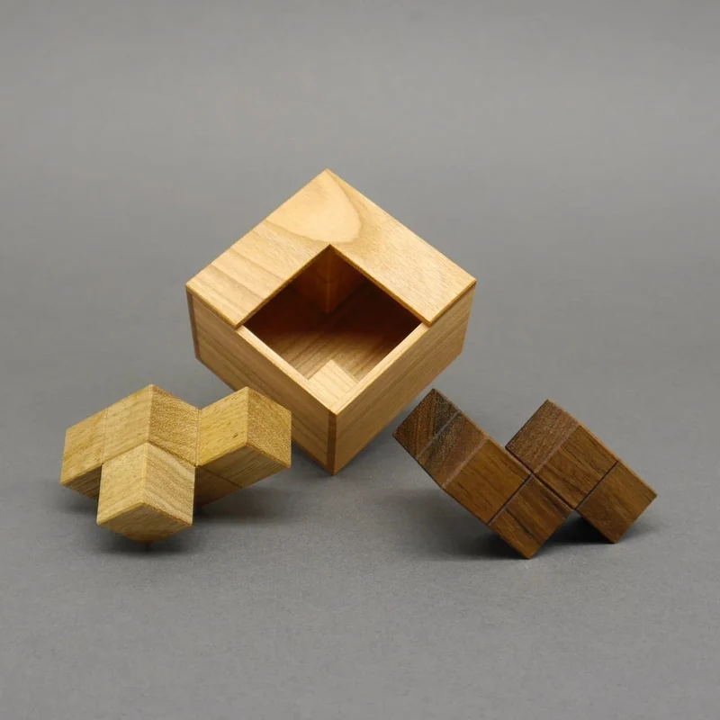 SYM DUO - tolles, schweres Packing-Puzzle