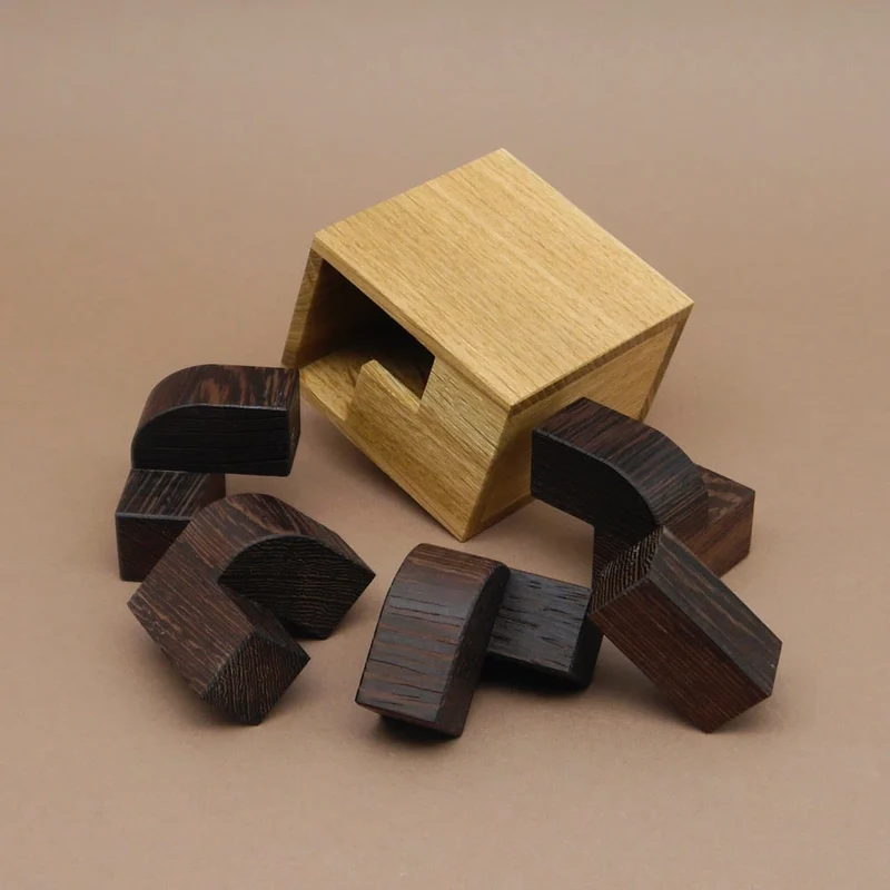 PETIT ALBERT - brillantes Holzpuzzle