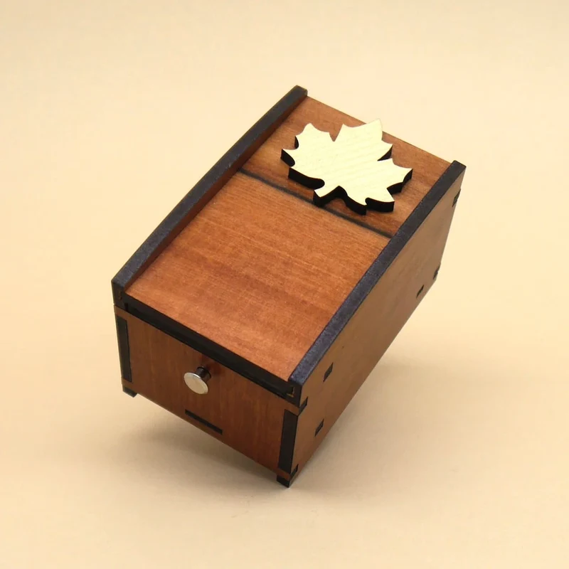 RADBOX - schwierige Knobelbox für Geschenke