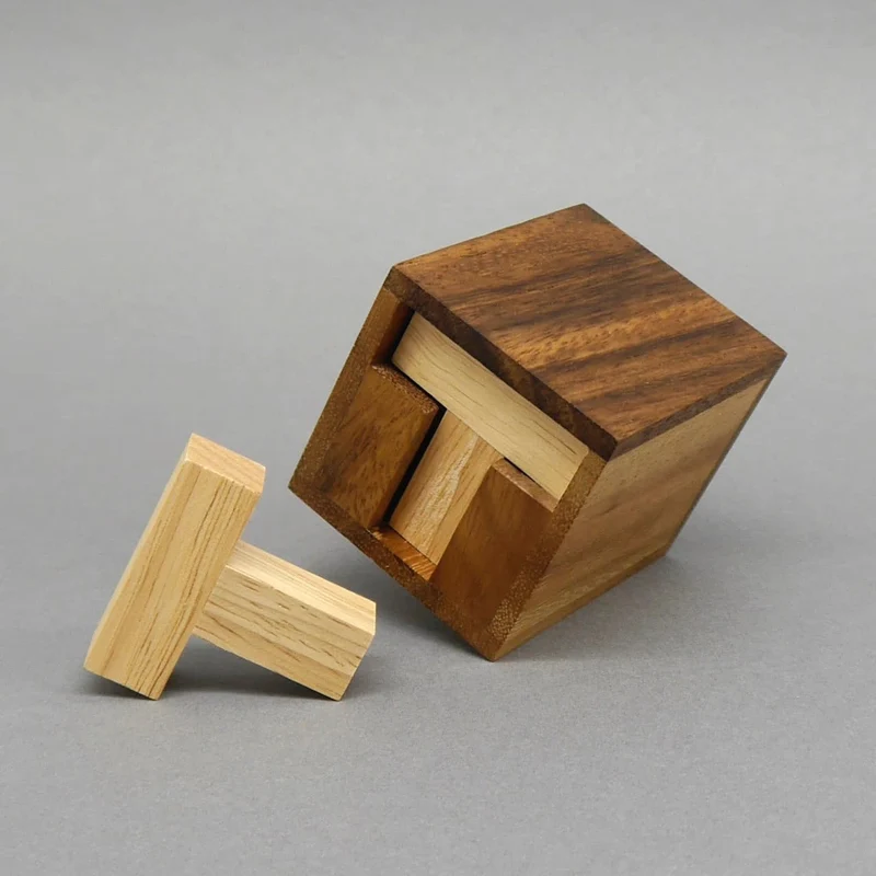SIX T PUZZLE - tolles Packpuzzle