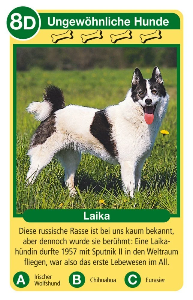 Tierquartett Hunde – Kartenspiel mit Hunderassen