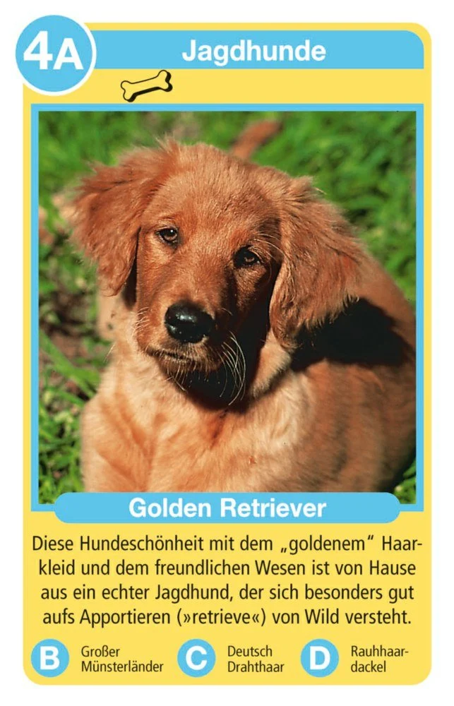 Tierquartett Hunde – Kartenspiel mit Hunderassen