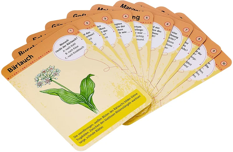 50 heimische Blumen