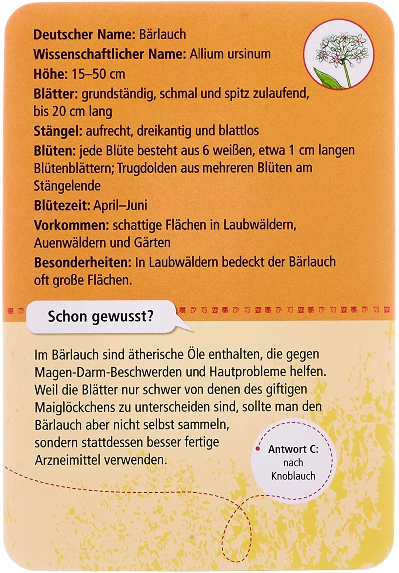 50 heimische Blumen