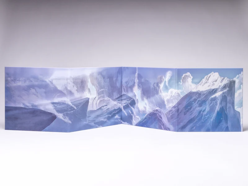 Encounters at a Glance: Into the Wild - Box Set - Scratch & Fold