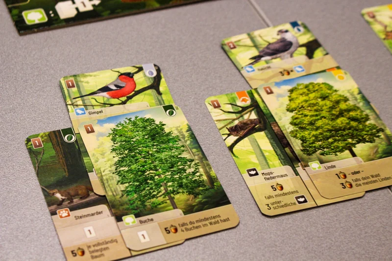 Mischwald – Kartenspiel ab 10 Jahren
