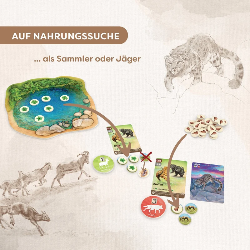 Nature – Pass dich der Umwelt an ab 10 Jahren – HABA