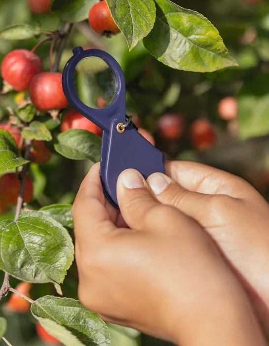 Mini-Lupe 10-fach klappbar mit Karabiner