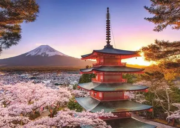 Puzzle Kirschblüte in Japan – Ravensburger Puzzles 1000 Teile