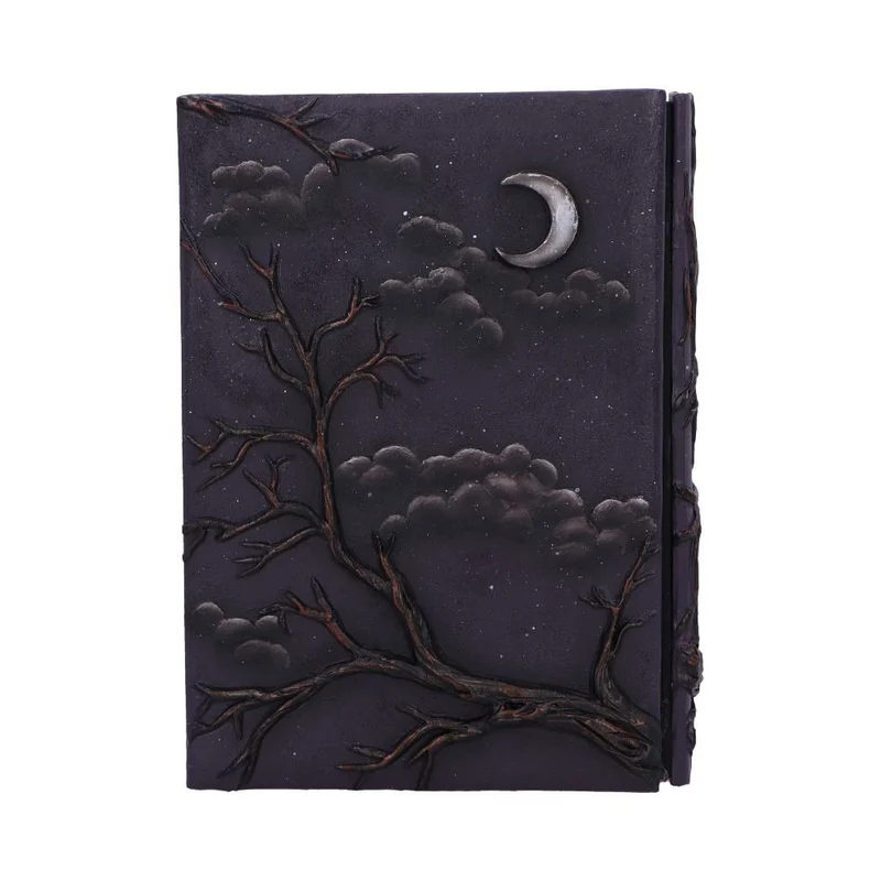 Raven's Grimoire - Notizbuch