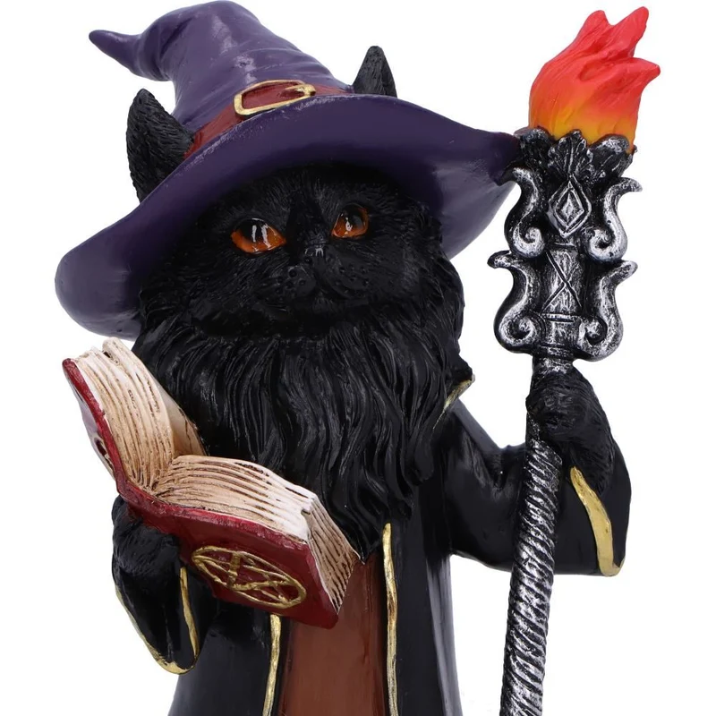 Albus, der Katzenmagier