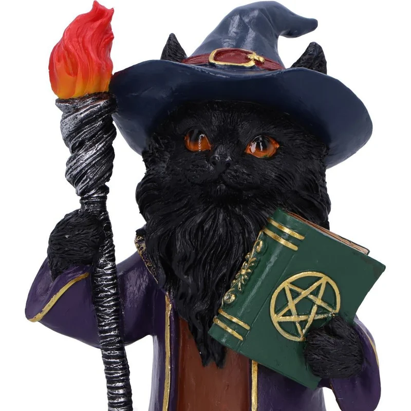 Magnus, der Katzenmagier