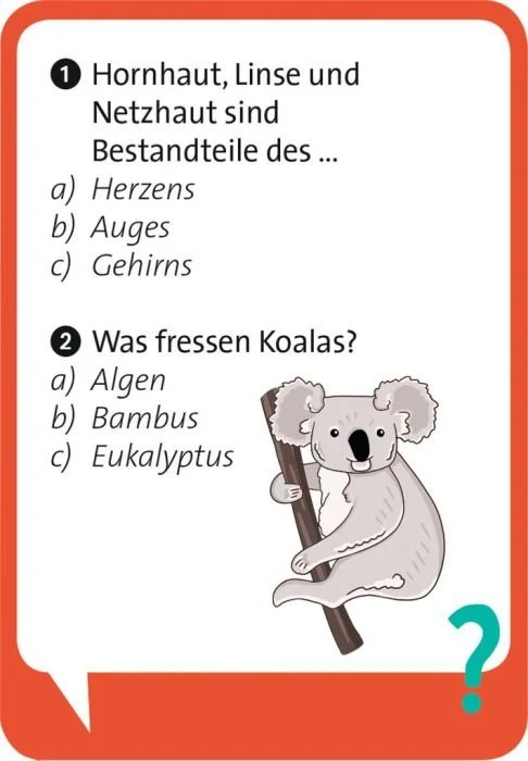 Quizspiel - Pocket Quiz: Junior : Schlaumeier