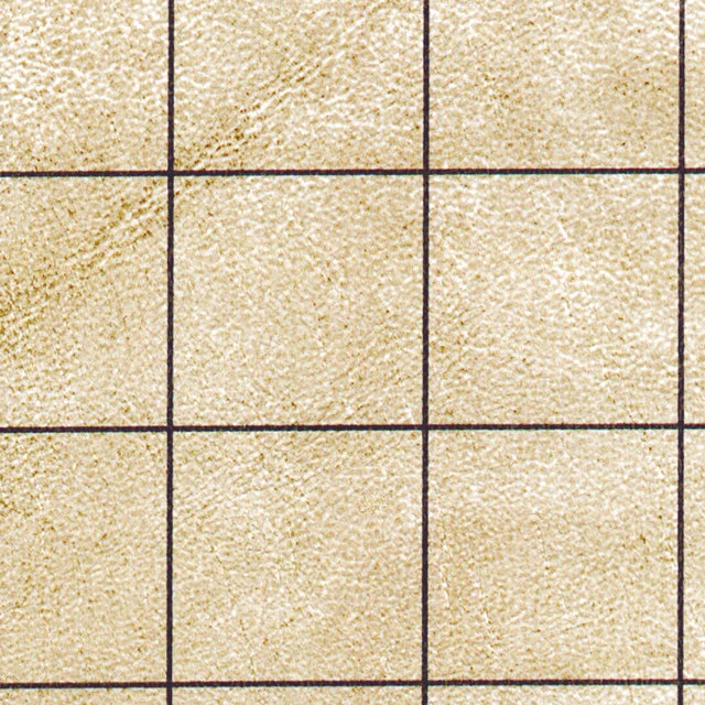 2in1 Battlemat