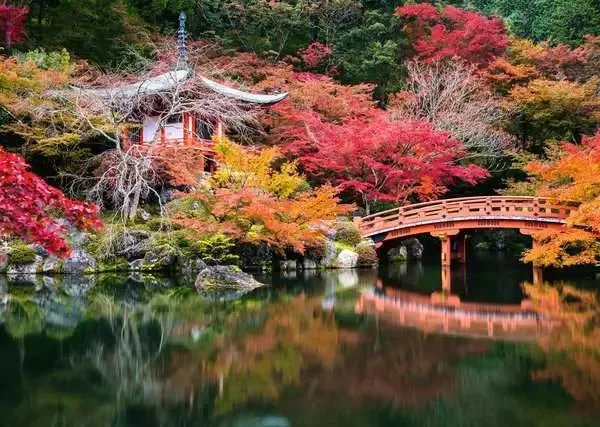 Puzzle 1000 Teile - Daigo-ji, Kyoto, Japan