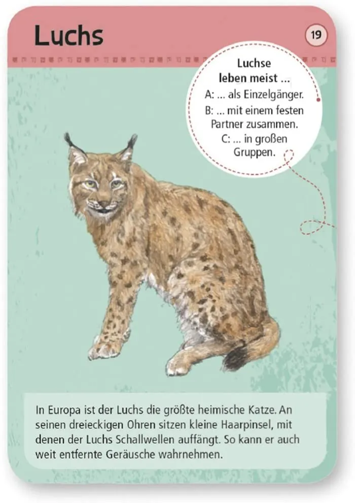 50 heimische Wald- & Wldtiere