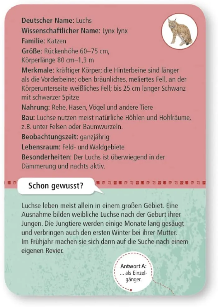 50 heimische Wald- & Wldtiere