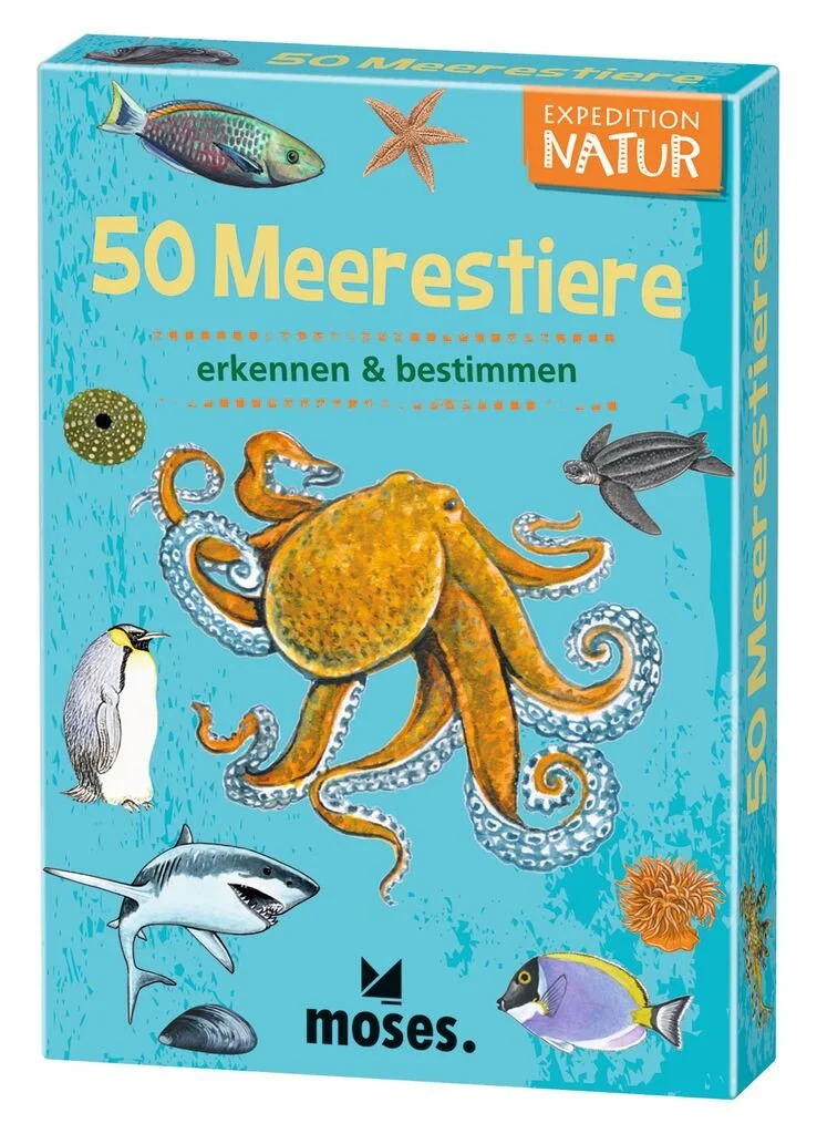 Lernkarten – 50 Meerestiere entdecken und bestimmen
