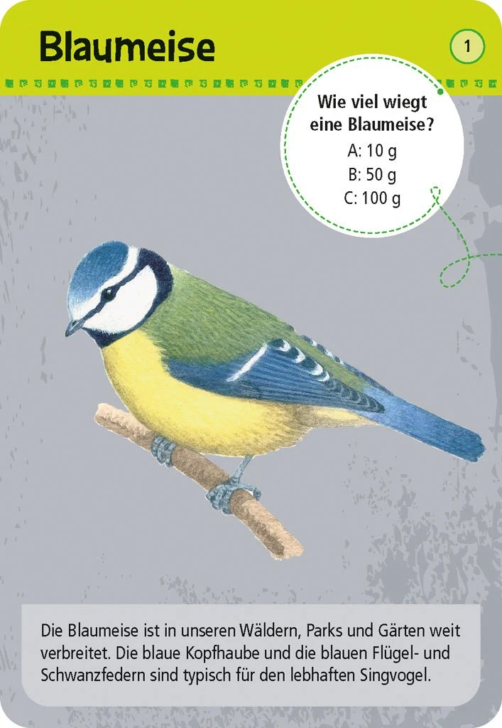 Lernkarten – 50 heimische Tiere in Stadt und Garten