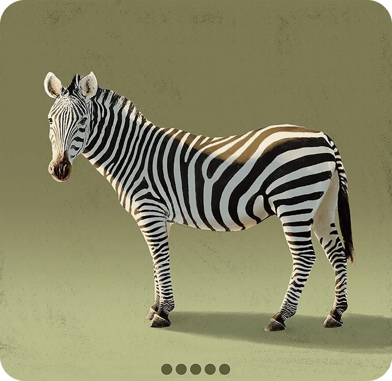 Blitz Zebra Astronaut – rasantes Wortspiel für schnelle Kombinationen