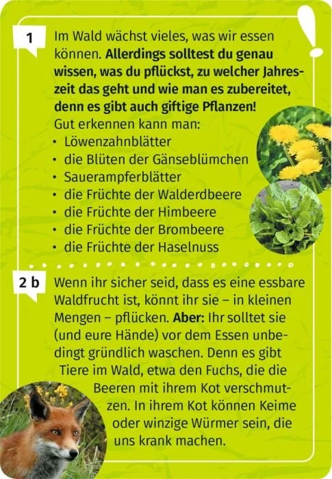 Expedition Natur Mein Wald-Forscherquiz