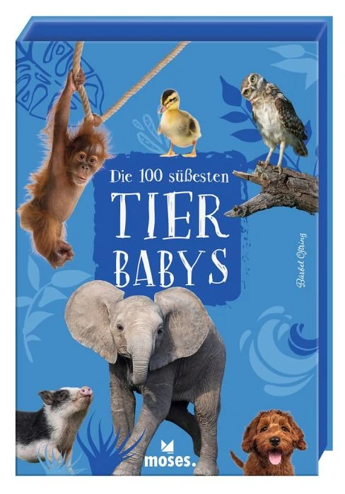 Die 100 süßesten Tierbabys – Kartenset