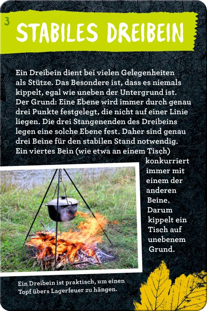 50 Outdoor-Experimente – Naturkarten ab 8 Jahren – Coppenrath
