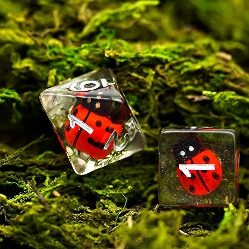 Ladybug-Edition