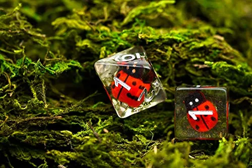 Ladybug-Edition