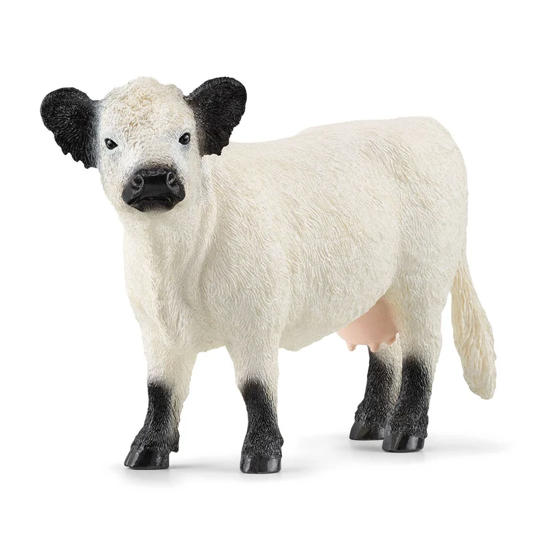 Tierfigur Galloway Kuh weiß – Schleich Farm World
