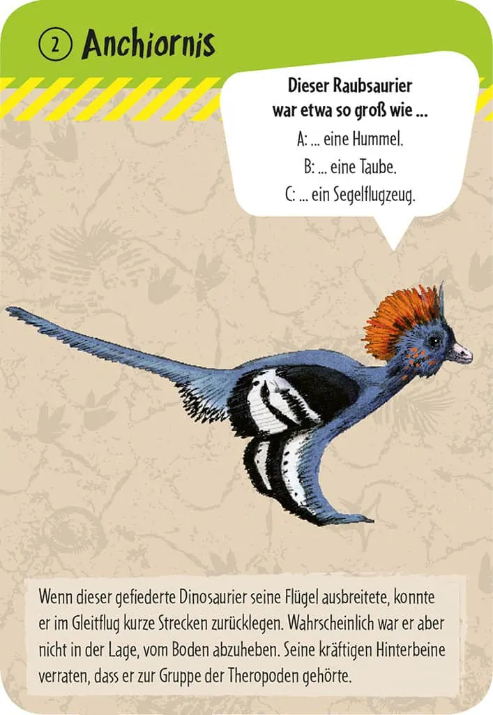 50 Dinosaurier Erkennen und Staunen