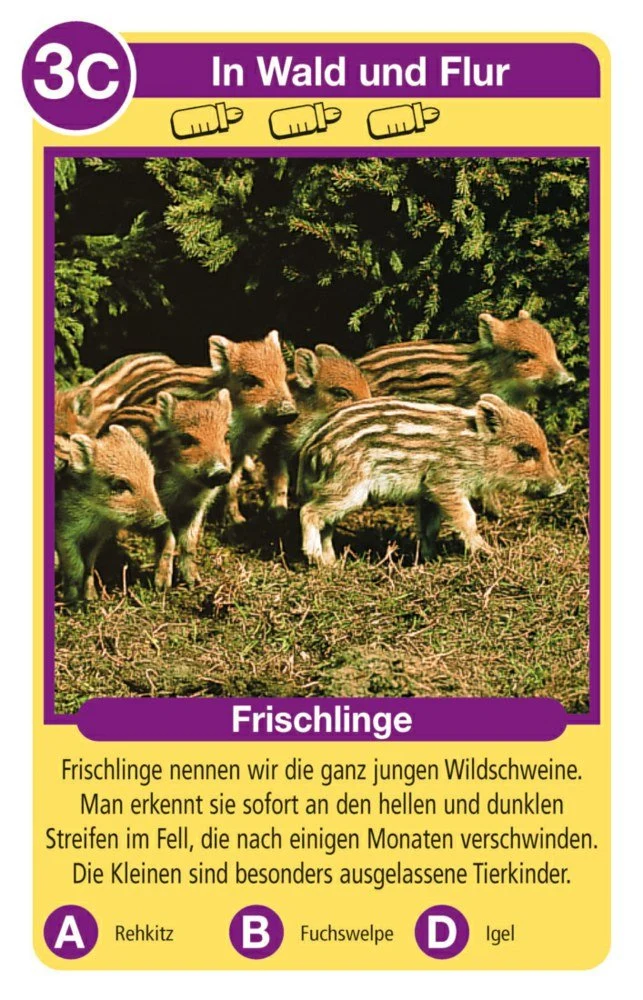 Tierquartett Tierkinder – Quartettspiel mit Tierbabys