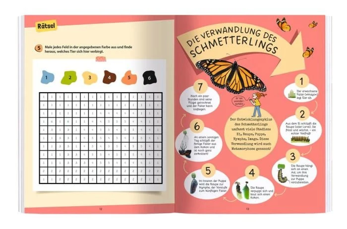Expedition Natur - Rätseln, Stickern, Bestimmen: Insekten & Co.