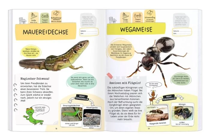 Expedition Natur - Rätseln, Stickern, Bestimmen: Insekten & Co.