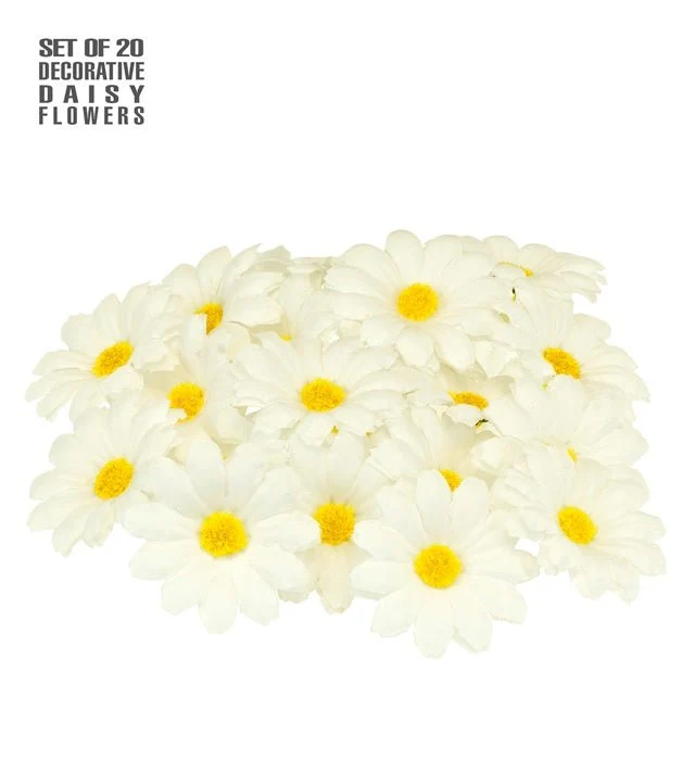 Set mit 20 dekorativen Gänseblümchen