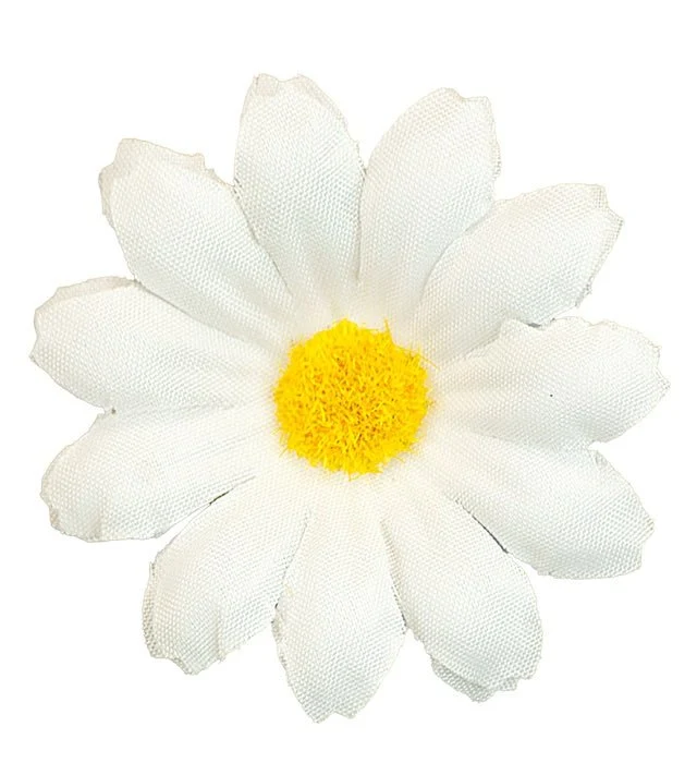 Set mit 20 dekorativen Gänseblümchen