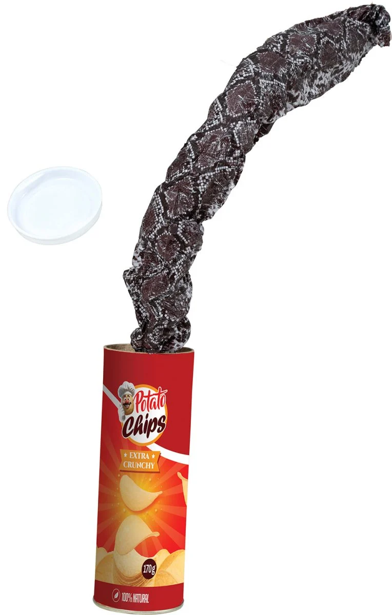 Chips Foparticle mit falscher Schlange 20cm